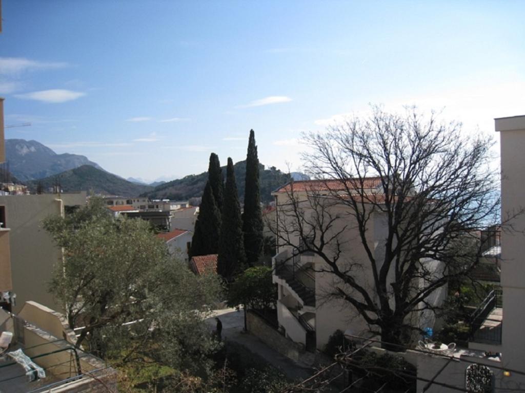 Apartment Stana Petrovac Екстер'єр фото